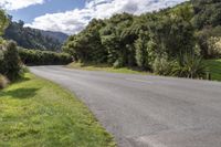 the curve road at the end of the drive near trees and shrubs in the foreground