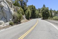 Lush Green Nature Road Trip in California #004