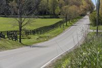 Lush Green Paths in Ontario, Canada