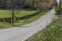 Lush Green Paths in Ontario, Canada