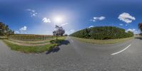 360 - zoom photo with clouds over a road on the left and a tree on the right