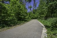 a long, narrow paved road with trees along side of it in the summertime
