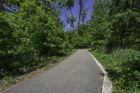 a long, narrow paved road with trees along side of it in the summertime