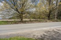 Lush Green Road in Toronto, Canada