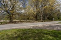 a road passing by with no cars or people on it and trees in the background