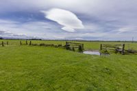 a view looking across a large green field in the country area with a few sheep standing near the fence