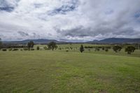 Lush Green Vegetation in Mountain Landscape