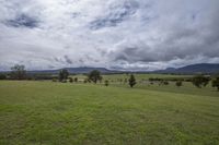 Lush Green Vegetation in Mountain Landscape