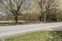 Lush Green Vegetation in Ontario, Canada