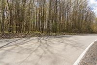 Lush Green Vegetation on Toronto Road