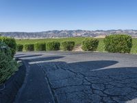 Lush Green Vineyard Road in California, USA