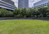 some green grass and trees near a large building and some tall buildings with some windows