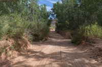 Lush Greenery and Bush in Utah's Red Rock Landscape