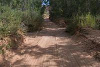 Lush Greenery and Bush in Utah's Red Rock Landscape