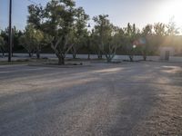 a skateboarder does tricks in the street at sunset, with trees lining the roadside