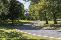 curved paths in park with many trees around and paved ground at the center of the photo