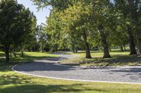 curved paths in park with many trees around and paved ground at the center of the photo