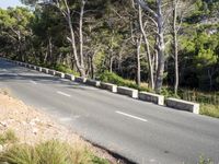 Lush Landscape of the Balearic Islands: A Scenic Road