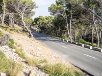 Lush Landscape of the Balearic Islands: A Scenic Road
