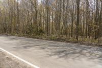 an asphalt road in the woods, with some tree's and one way sign