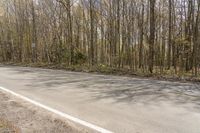 an asphalt road in the woods, with some tree's and one way sign