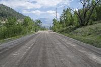 Exploring the Lush Landscape of Colorado's Mountains