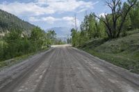 Exploring the Lush Landscape of Colorado's Mountains