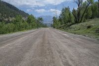 Exploring the Lush Landscape of Colorado's Mountains