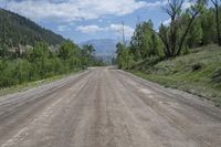 Exploring the Lush Landscape of Colorado's Mountains