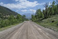 Exploring the Lush Landscape of Colorado's Mountains