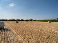 a hay field with bales of straw and trees behind it and a blue sky