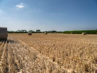 a hay field with bales of straw and trees behind it and a blue sky