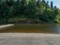 A Lush Landscape: Forest and Boat Ramp by the Lake