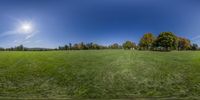 a panoramic view from the ground in a field of green grass, looking out over the top of a hill