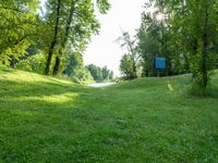 Lush Landscape in a Park under a Clear Sky