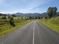 Lush Landscape Road with Mountain Scenery