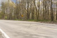 a road with no vehicles and trees with no leaves on it, near some hills