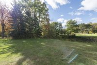 a yard with an artificial fence and lots of trees near the grass area and in the middle of the field