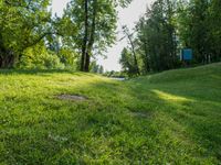 the blue sign is on the hill in the forest along with a green lawn and several trees around