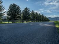 a empty road that goes through a grassy area with mountains in the background as well as trees