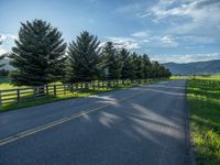 a empty road that goes through a grassy area with mountains in the background as well as trees