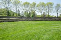 Lush Open Space Day in Nature Rural Canada