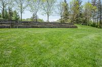 Lush Open Space Day in Nature Rural Canada