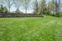 Lush Open Space Day in Nature Rural Canada