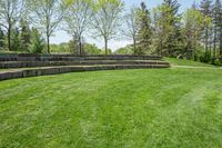 Lush Open Space Day in Nature Rural Canada