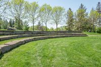 Lush Open Space Day in Nature Rural Canada