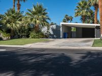 Lush Palm Tree Villa in Palm Springs