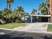 Lush Palm Tree Villa in Palm Springs