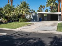 Lush Palm Tree Villa in Palm Springs