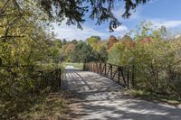 a wooden bridge over a paved path in the autumntime with fall foliage and a path winding through it